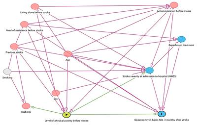 Physical inactivity before stroke is associated with dependency in basic activities of daily living 3 months after stroke